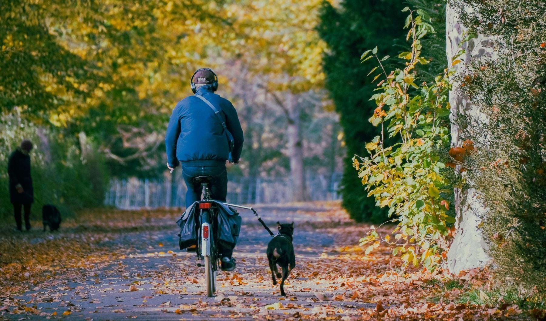 a man riding a bicycle with a dog on a leash